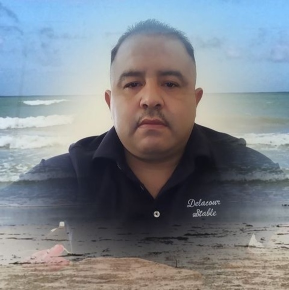 Meet your Posher, Oscar - Picture 1 of 1